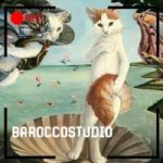 Модель в студию Barocco